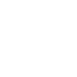 Surfer SEO logo